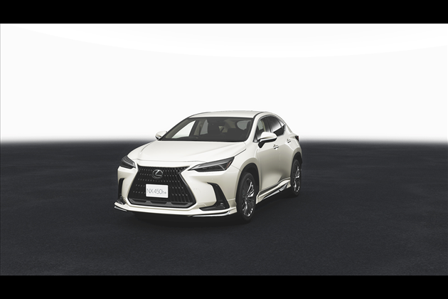 MODELLISTA MODELLISTA アドバンストラグジュアリーパッケージ for 20 LEXUS NX